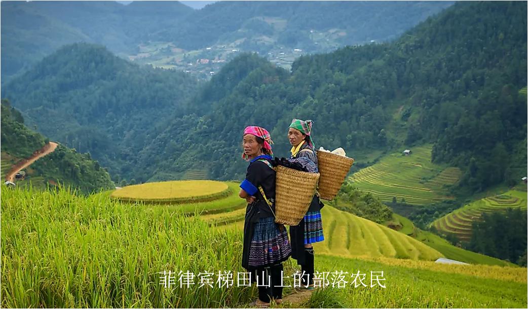 世界各国平均身高最矮,世界平均身高最矮的国家排名