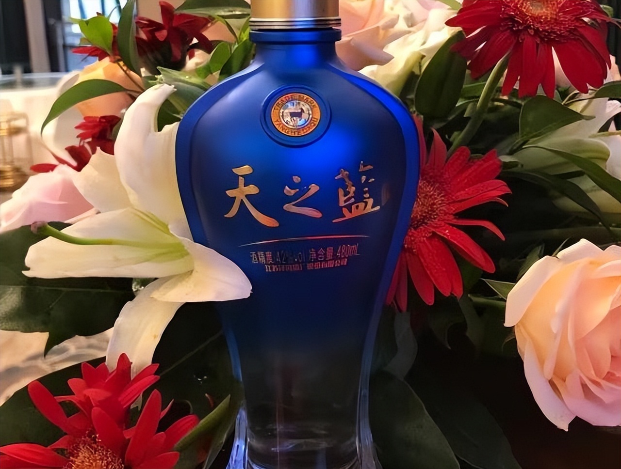 洋河酒档次排名高端梦之蓝,洋河私藏大酒是天之蓝还是海之蓝