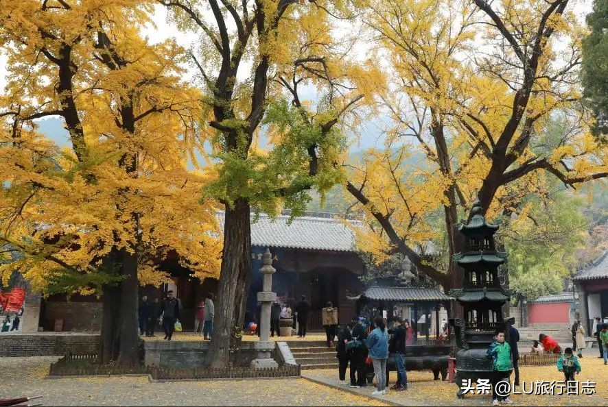 济南市的a级旅游景区都是哪些,济南长清马套村旅游景区