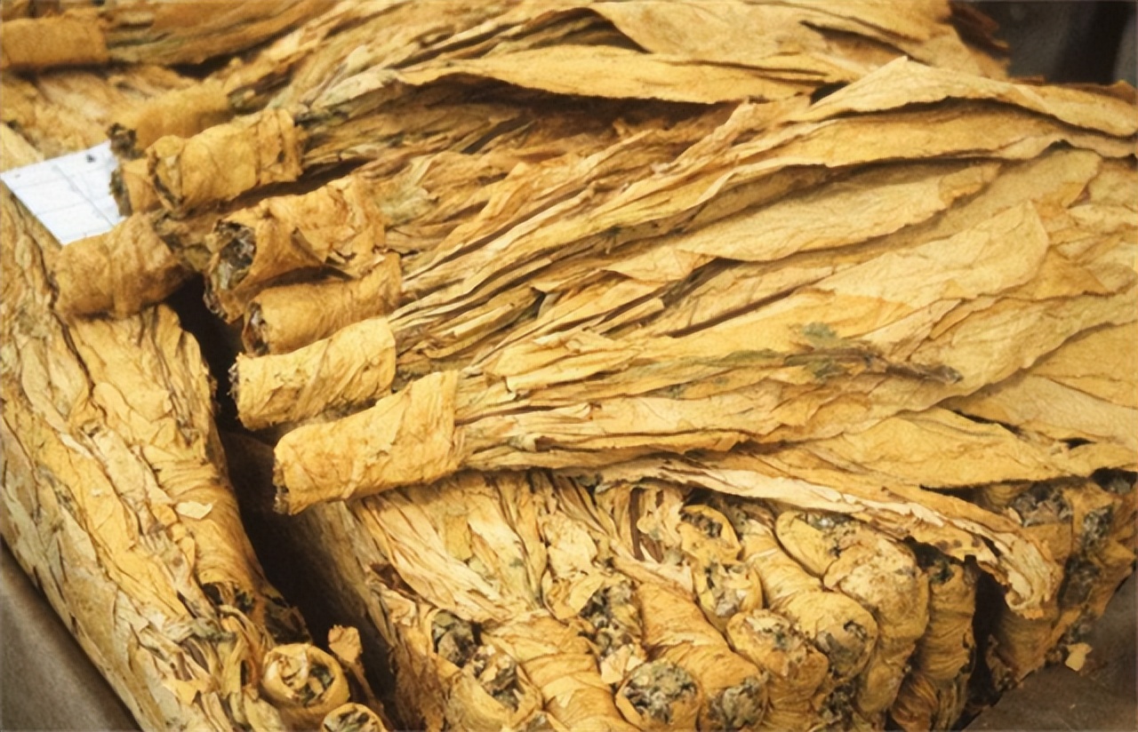 云霄烟假烟造就百亿市场,中国云霄经典假烟