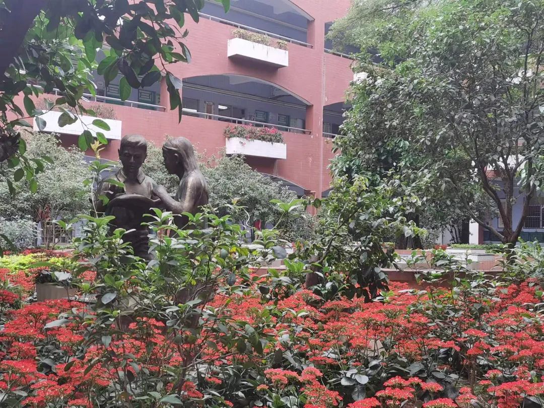 石碣四海学校是公办还是民办,东莞石排四海学校招生