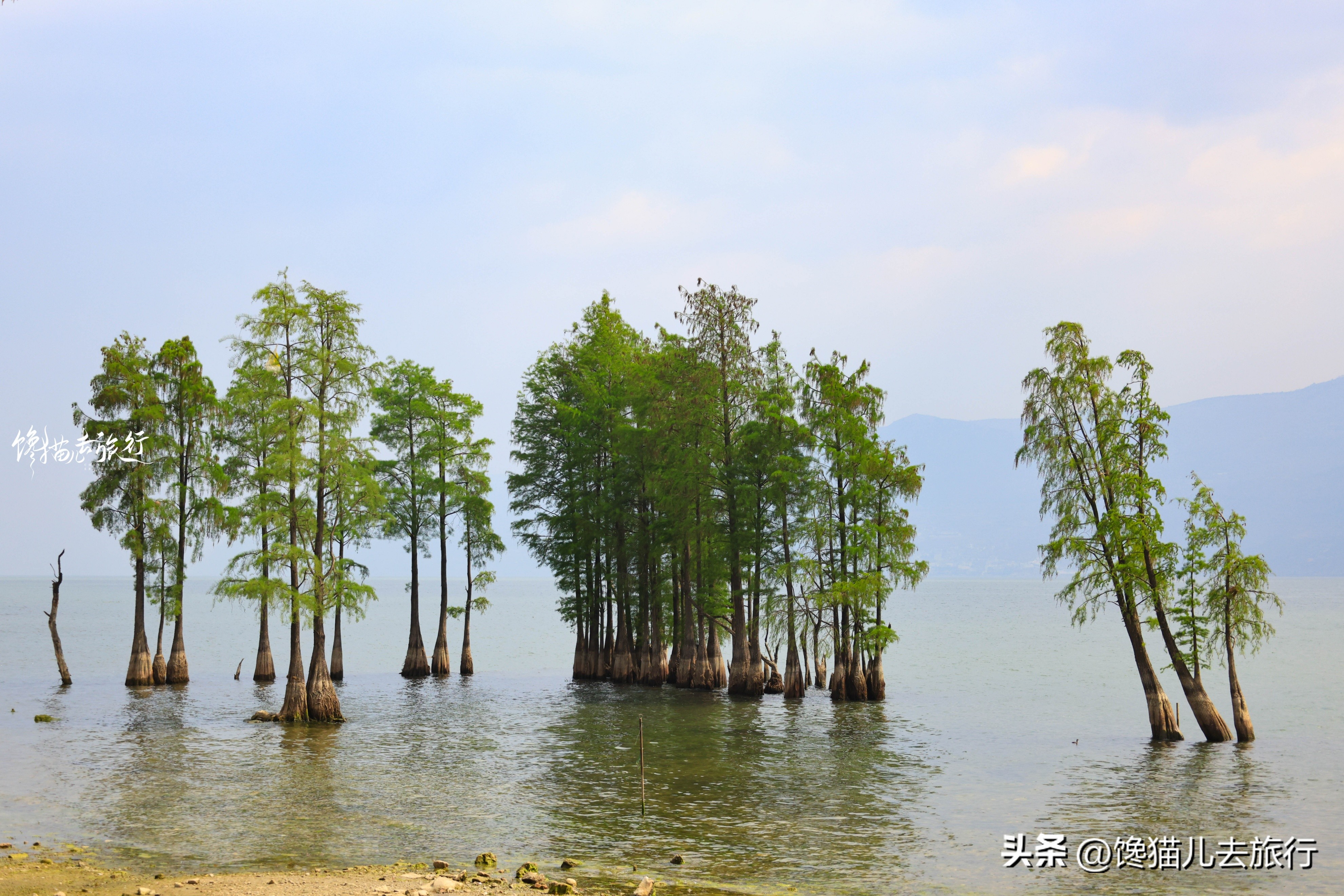 春节期间大理有哪些景点门票免费,大理免费景点一览表