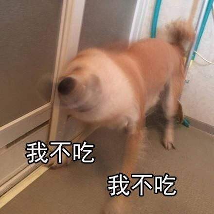 狗狗的一些动作说明狗狗生病了,这5个信号是狗狗生病的标志