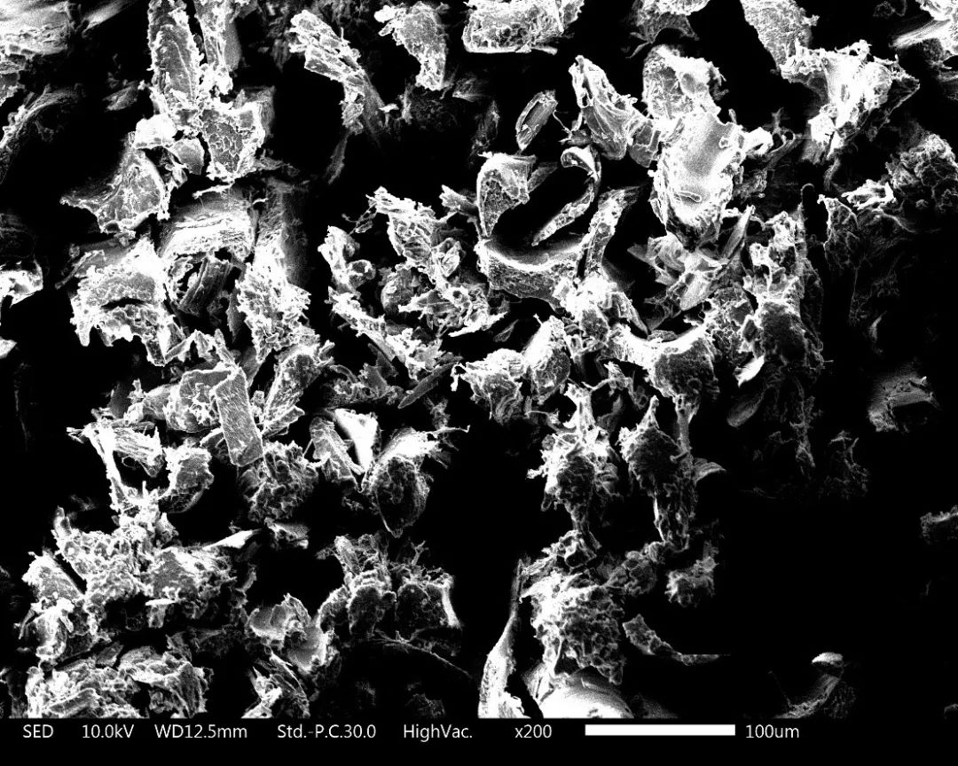 养猫忠告尽量少买华而不实的东西,养猫容易被忽悠买的东西