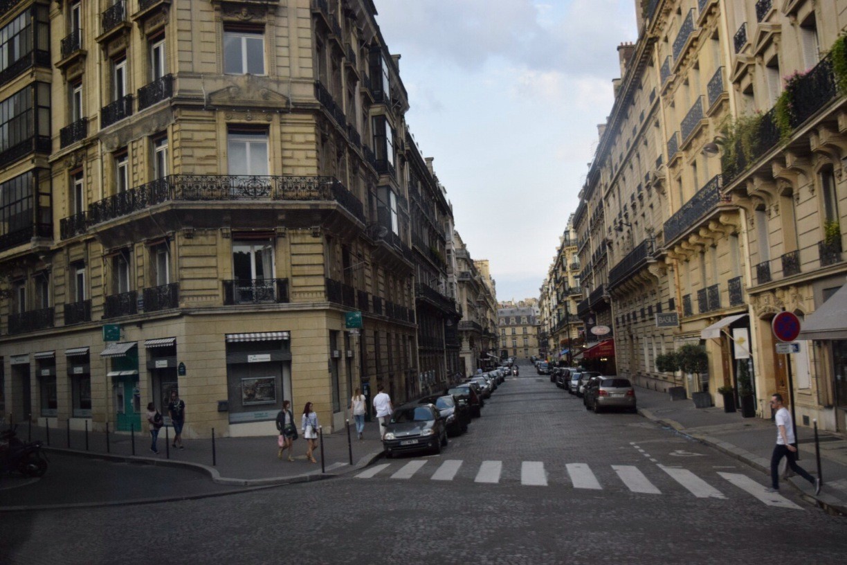 为什么国外没有绿化带,为什么欧洲没有绿化带