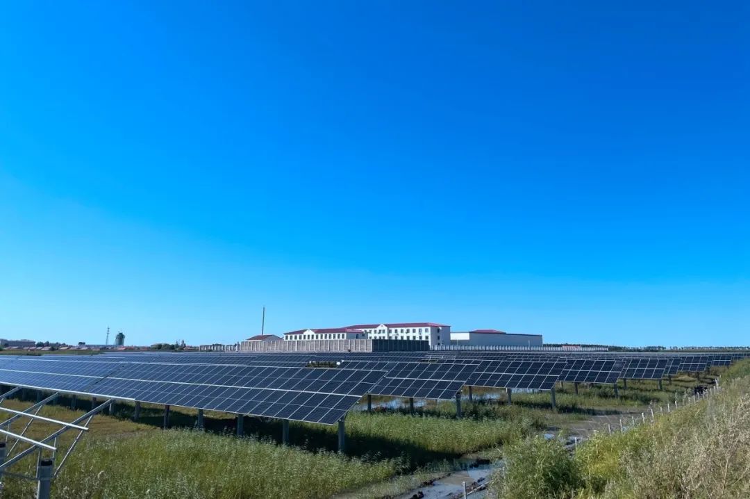 砥砺初心担使命同心奋进新征程,砥砺奋进不辱使命助推乡村振兴