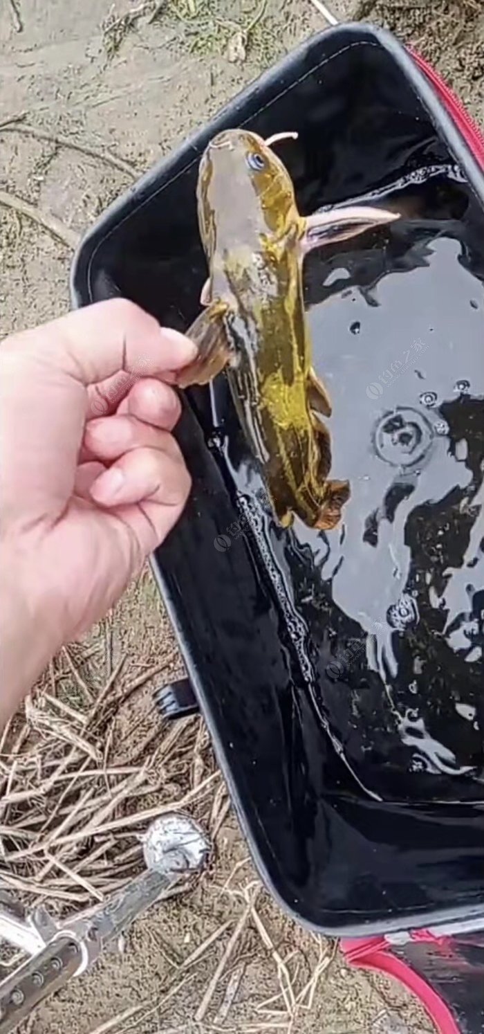 鱼竿的长度与线组的长度怎么搭配,怎么根据鱼竿长度选择漂的吃铅量