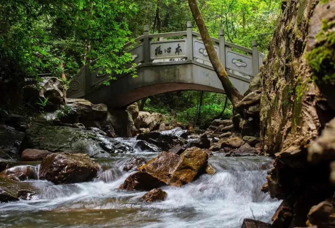 阳明山景区禁游泳、禁钓鱼通告
