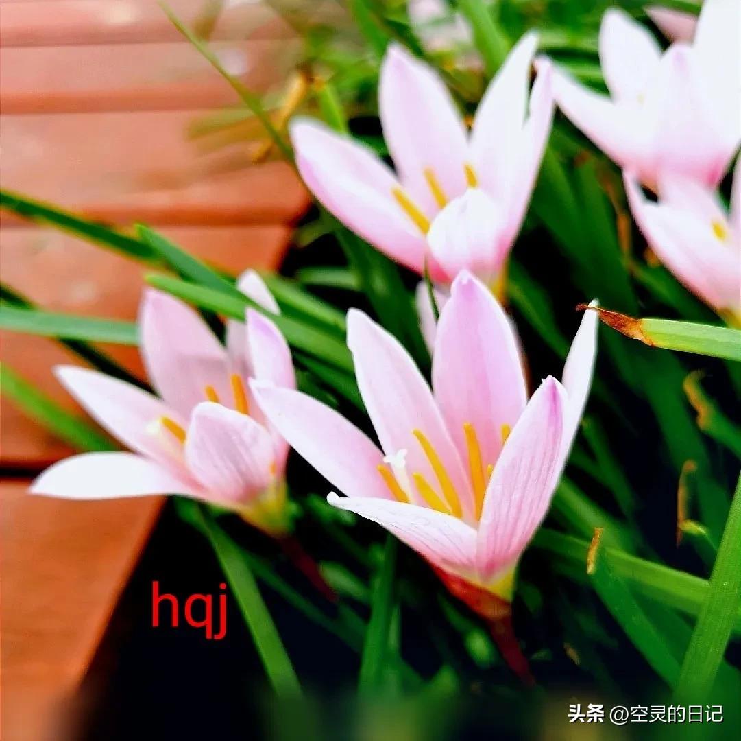 濡備綍鎵嶈兘鐪嬭浣犵殑瀹归,鎬庝箞鐪嬩綘鏄惁婕備寒