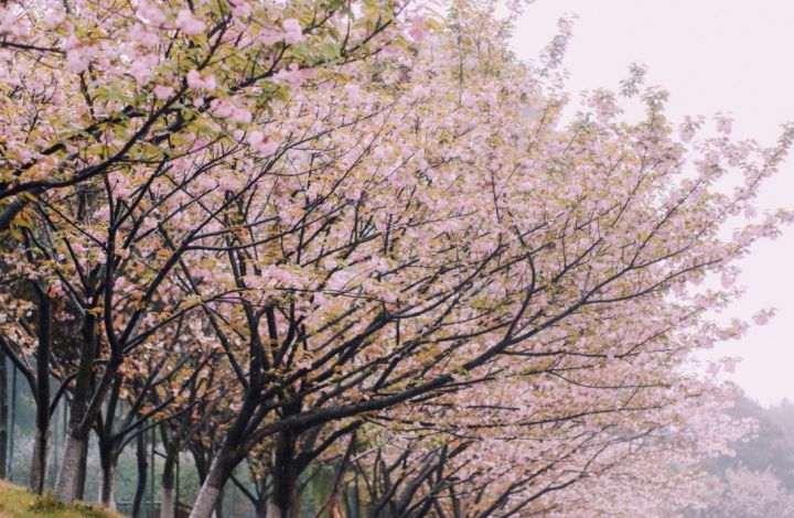 重庆主城小众打卡地,重庆周边小众自驾旅游