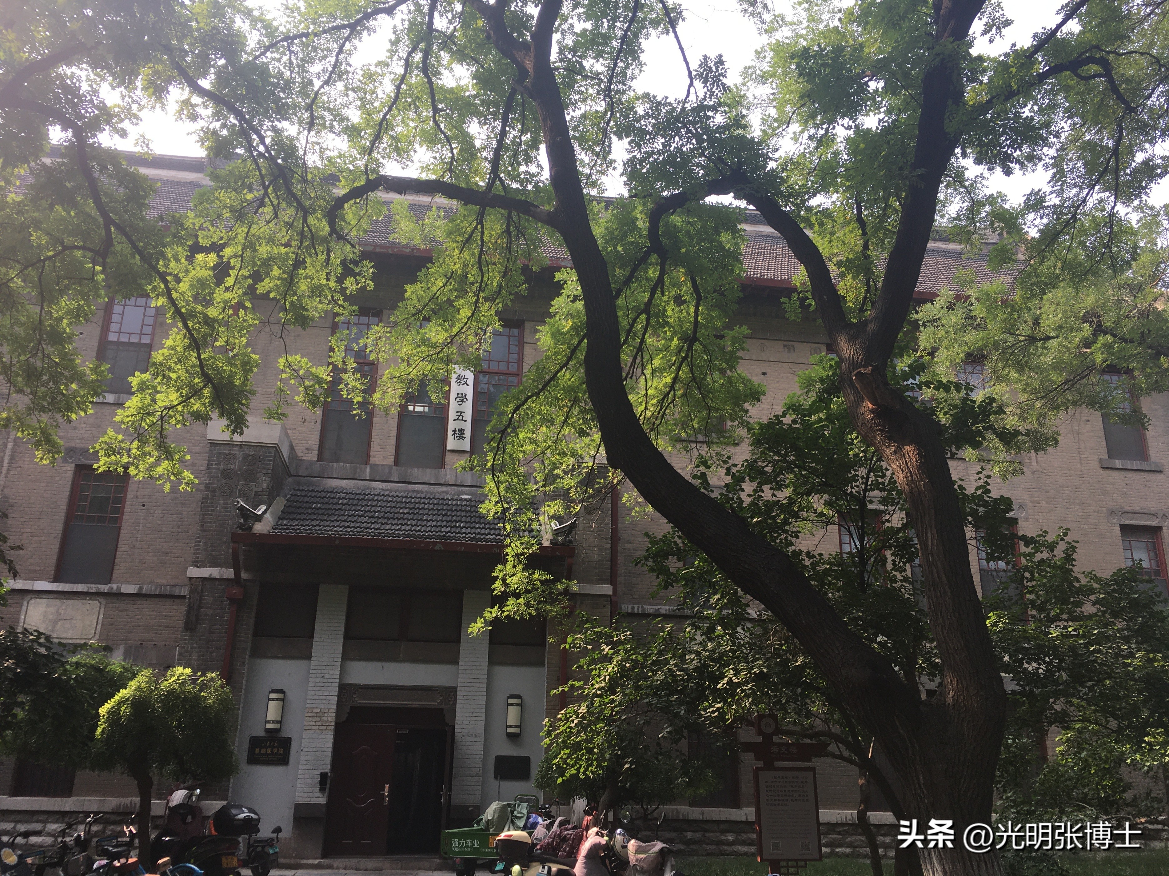 山东大学趵突泉校区风景图片,山东大学趵突泉校区宿舍真实照片