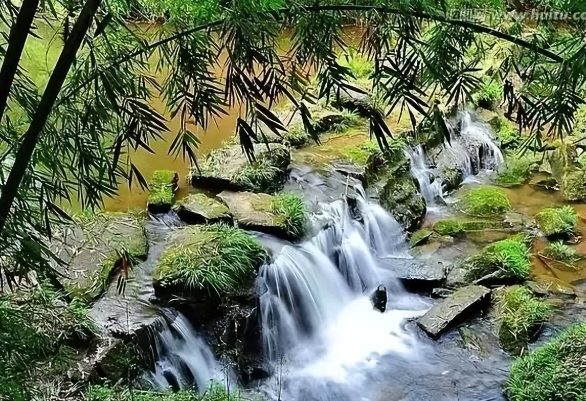 邛崃川西竹海攻略,邛崃竹海徒步攻略