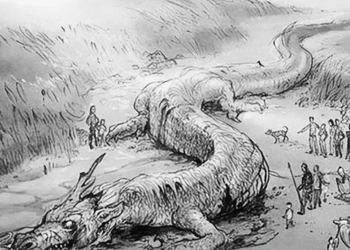 民间故事老龟讲述,民间故事千年老龟