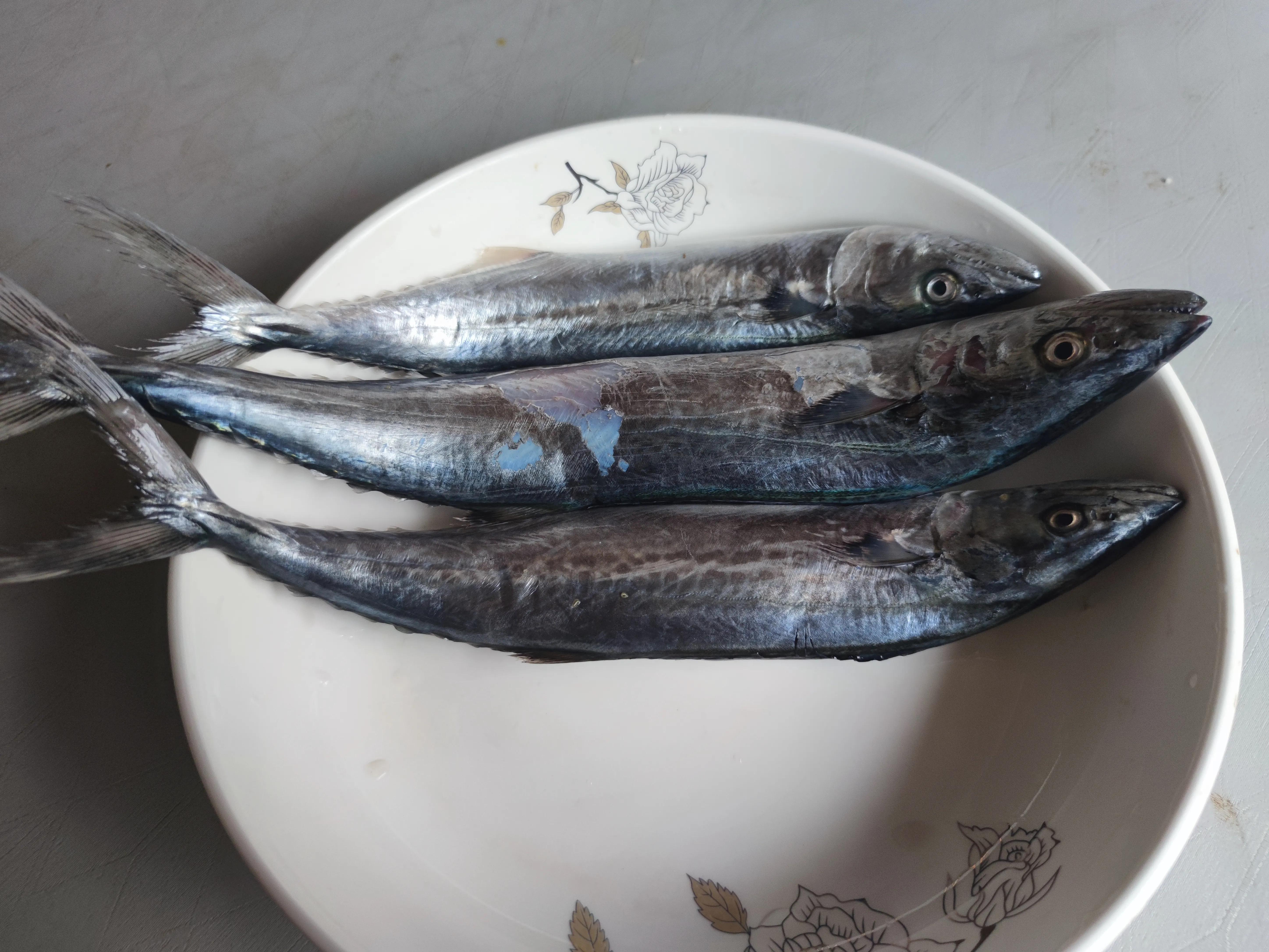 海鲜鲍鱼小龙虾还有哪些,海鲜龙虾帝王蟹鲍鱼