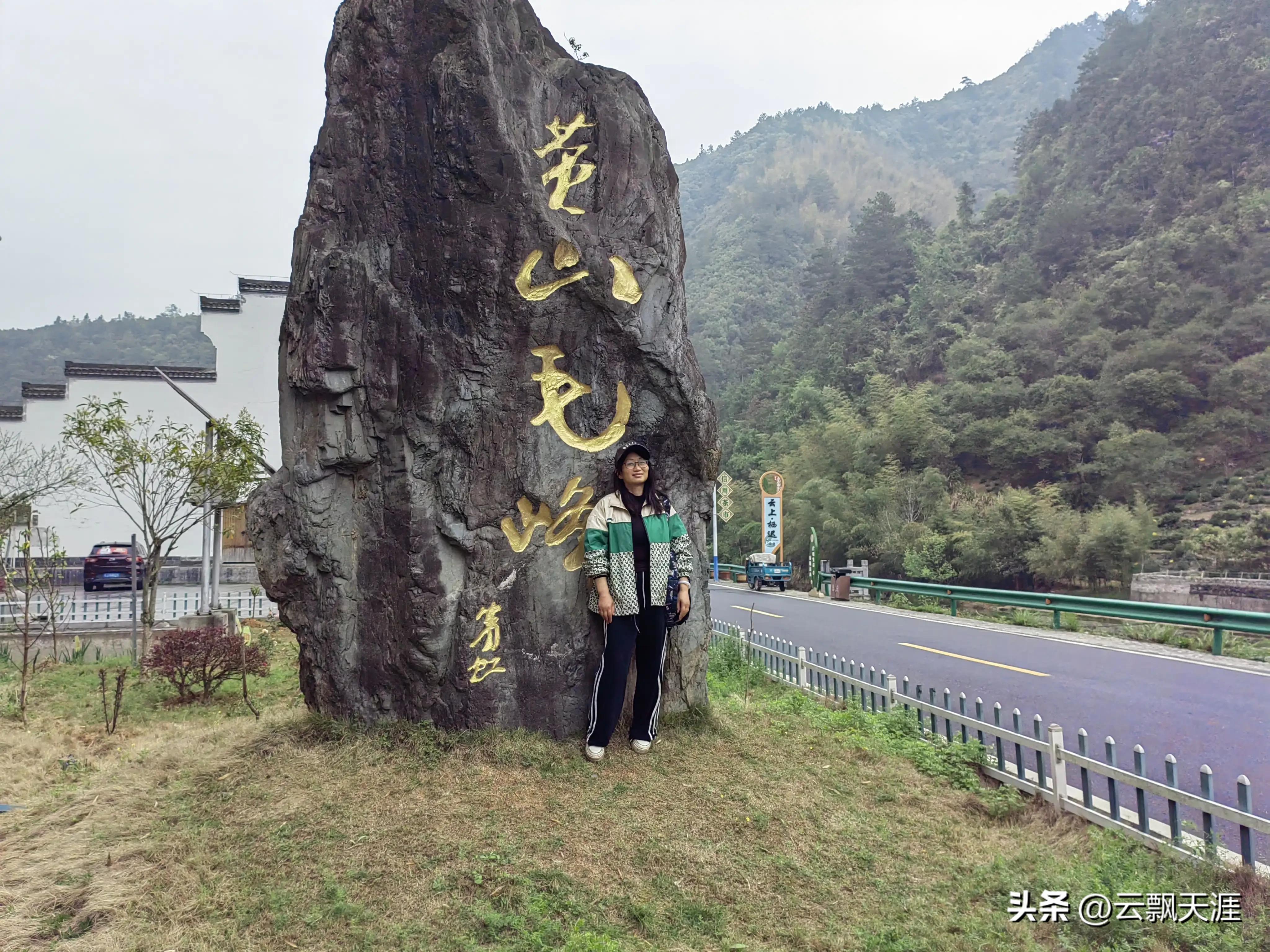 为何外地人一般很难买到正宗的富溪“黄山毛峰”