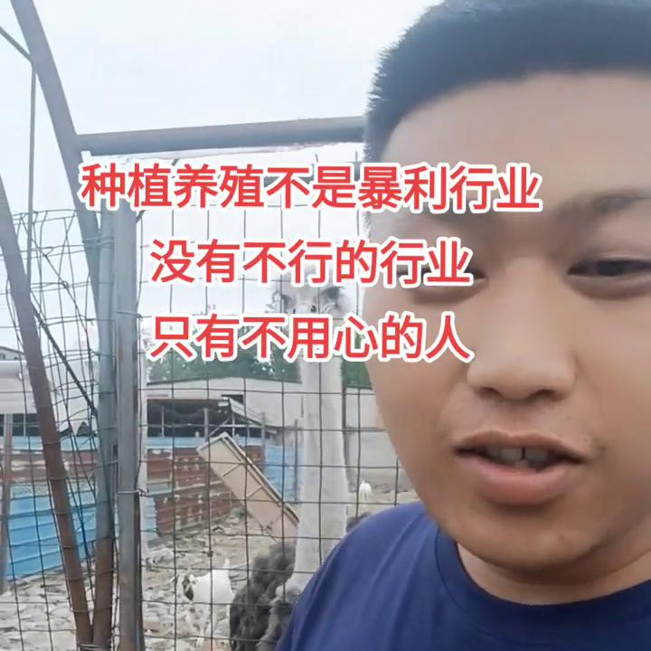 哪里的养殖行业最好干一点,现在创业养什么最好