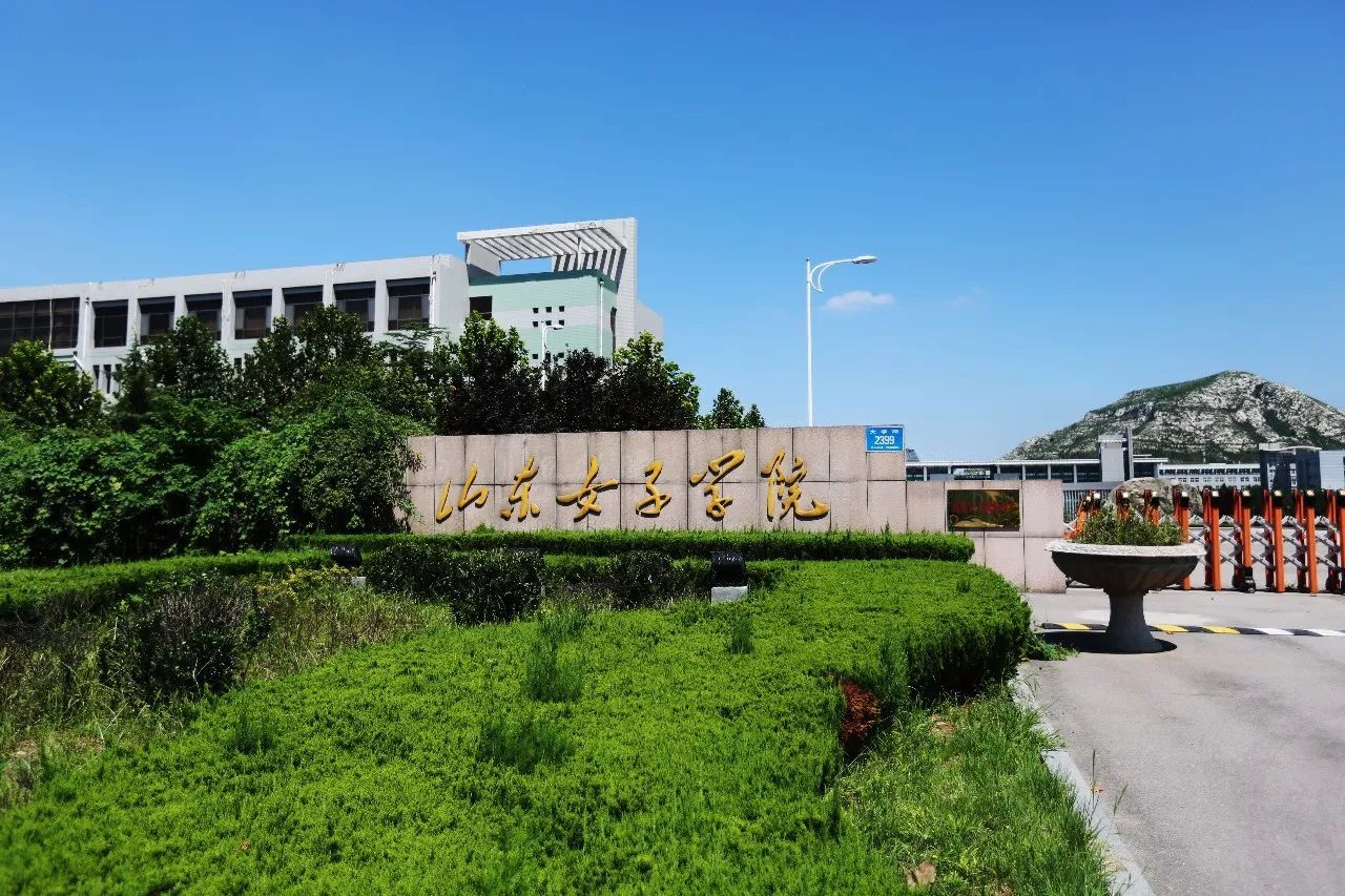 山东省2023艺考专业项目,山东艺术生报考的学校有哪些专业