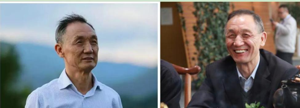 4分钟回顾中兴通讯发展史,中兴通讯发展史