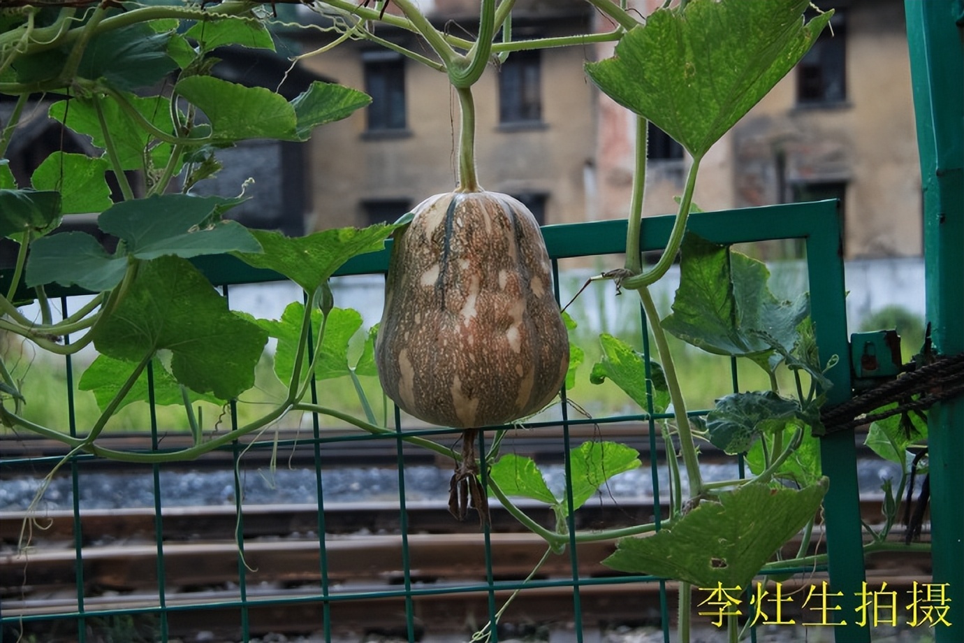 坪石梅田铁路,韶关乐昌市坪石镇火车站