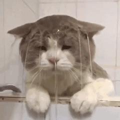 目前最好的儿童重疾险排名,重疾险攻略完整版