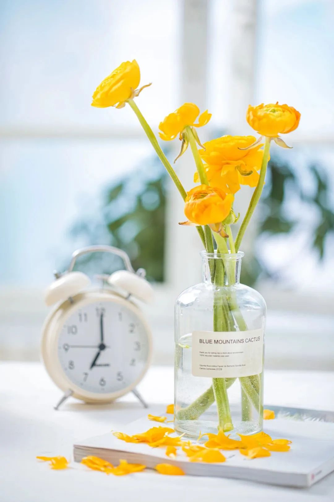 家族群最讨厌的人,家族群里最虚伪的人