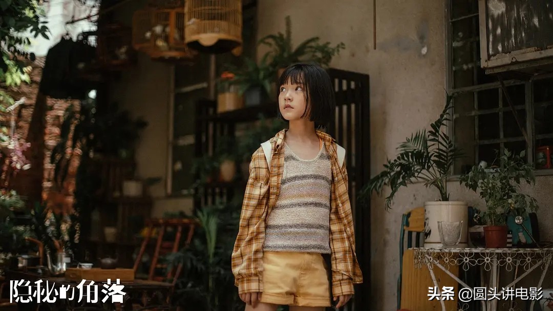 最近最火的三部剧推荐,最近超火的五部剧你最看好哪一部