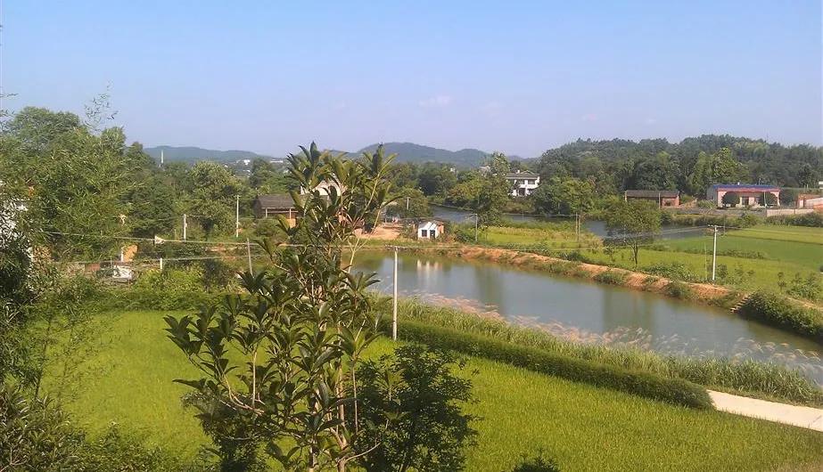 宁乡桃林镇,长沙市道林镇