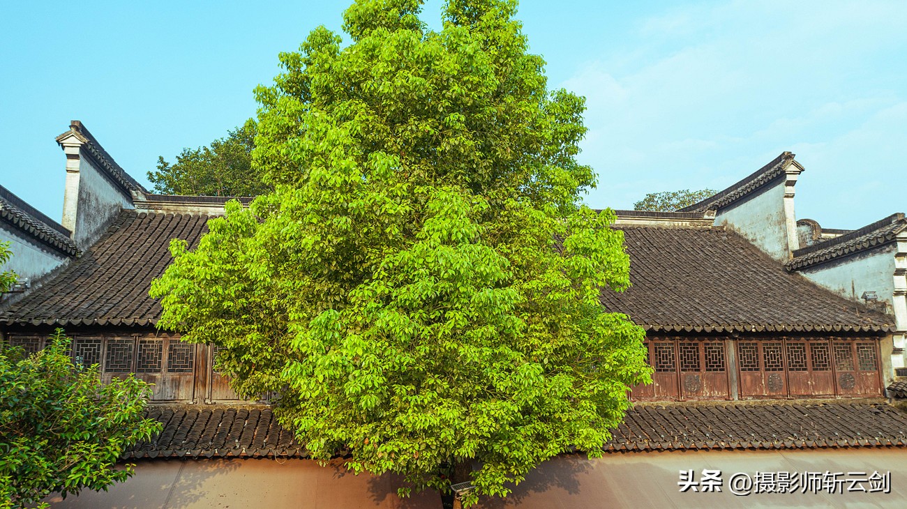 湖州南浔区值得去发展吗,湖州经济发展趋势