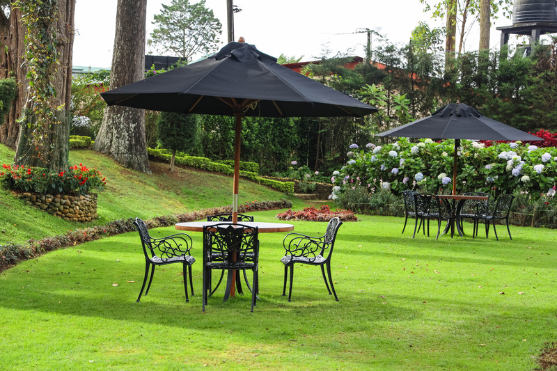 斯里兰卡旅游攻略必去景点,斯里兰卡旅游攻略最佳时间