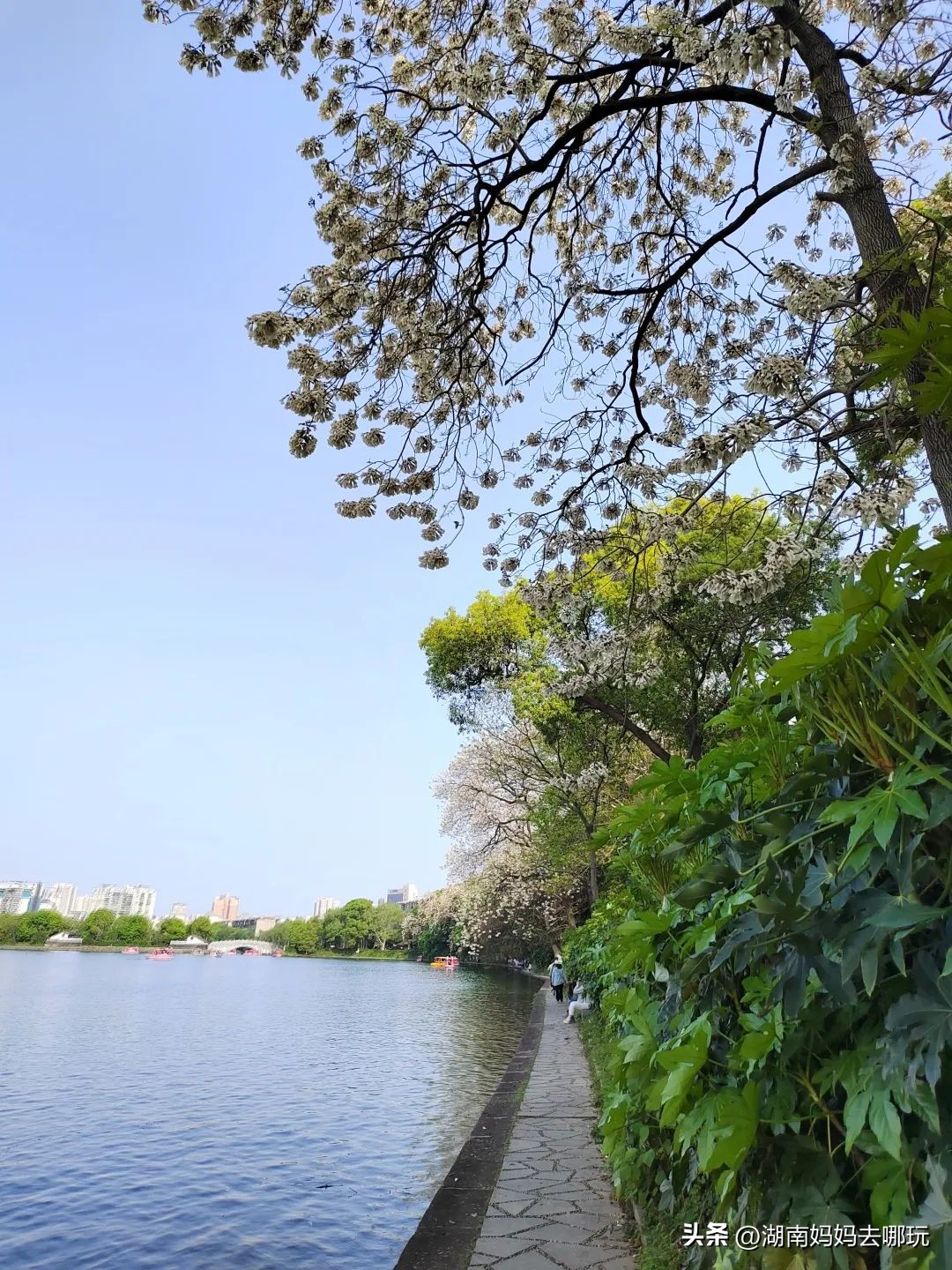 长沙天然森林氧吧景区,长沙周边天然氧吧