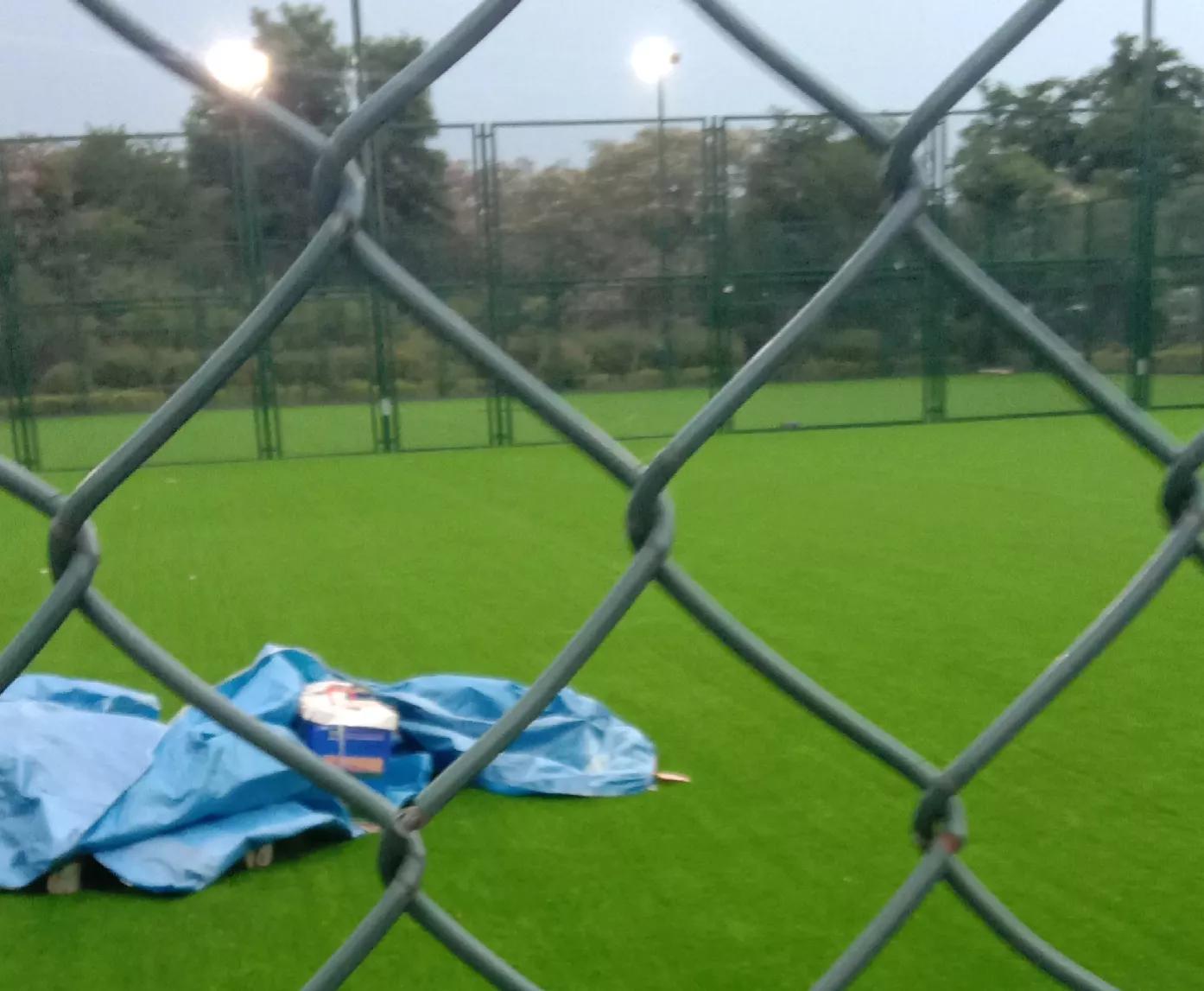 外向的孩子,活泼的儿子