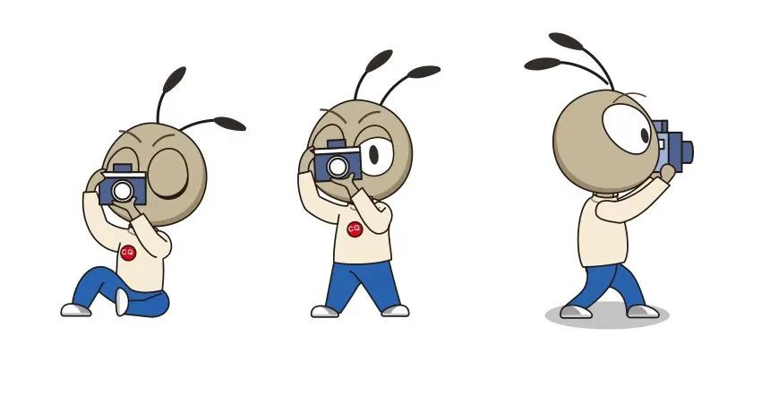 重庆区县怎么玩最合理,重庆各个区县好玩预览图