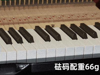 新手电钢琴推荐买什么牌子的,初学者电钢琴买什么牌子