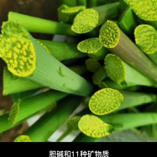 希望这个视频对大家有所帮助,近三天最火的生活小常识