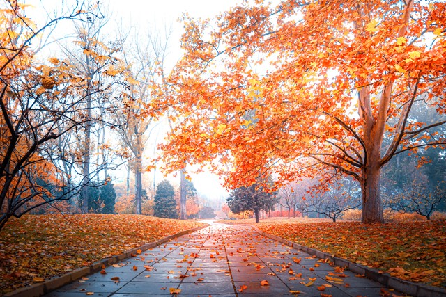 民间纪实故事｜女孩与健身男两天上床半月同居染性病，律师说：该