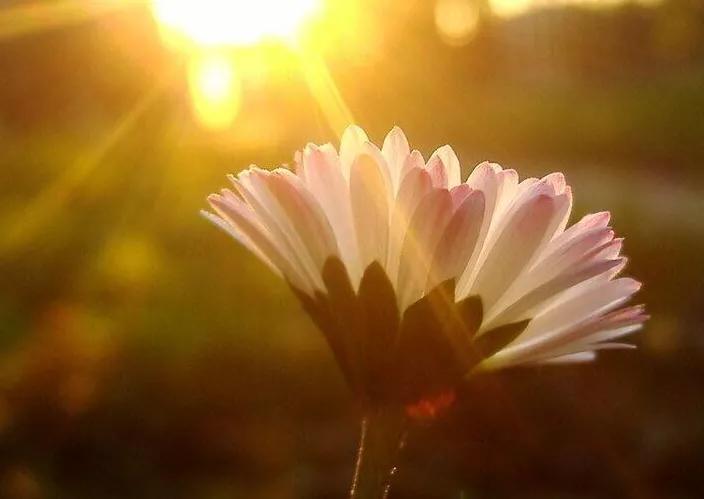 疫情像一面照妖镜,疫情是检验人性的照妖镜