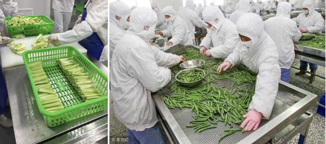 央企食堂大锅菜,大企业中央厨房