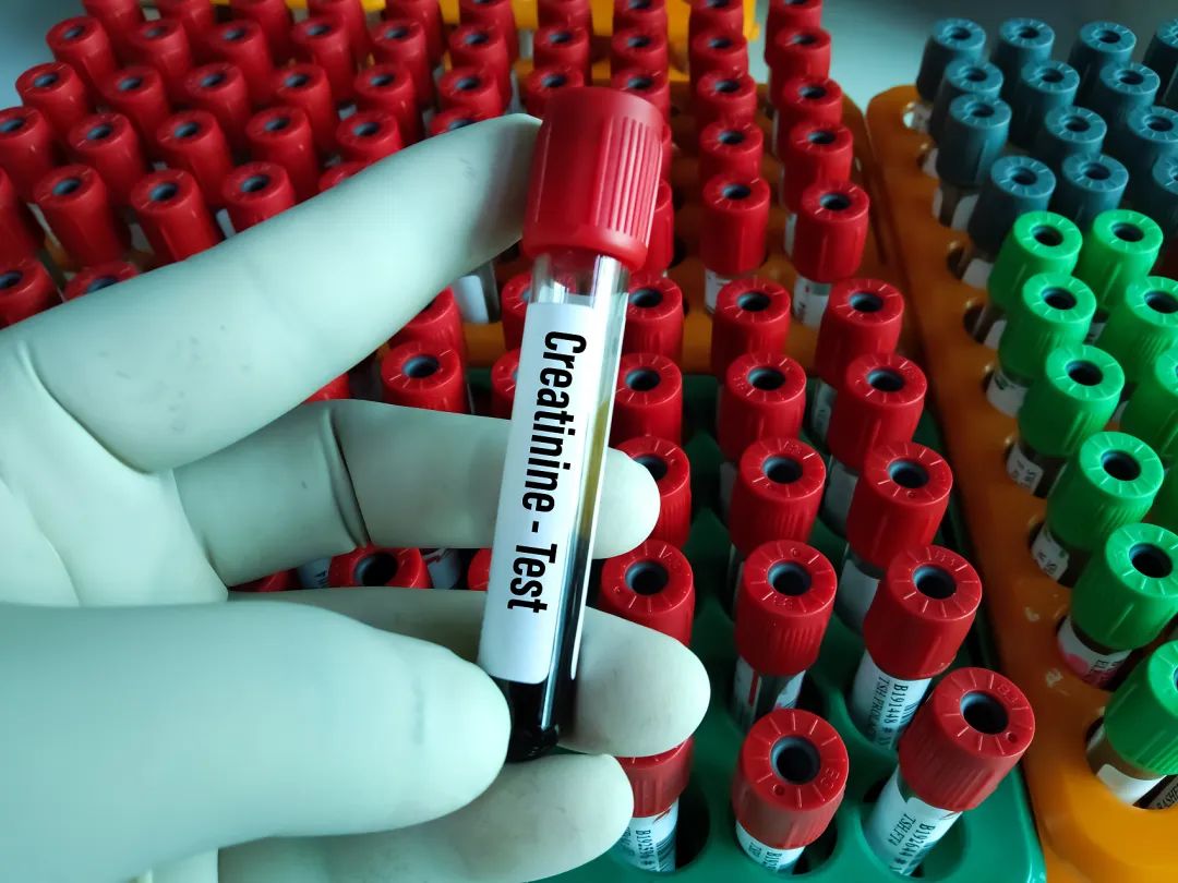 肿瘤病人白蛋白低吃什么补得快,肿瘤患者白蛋白低怎么补