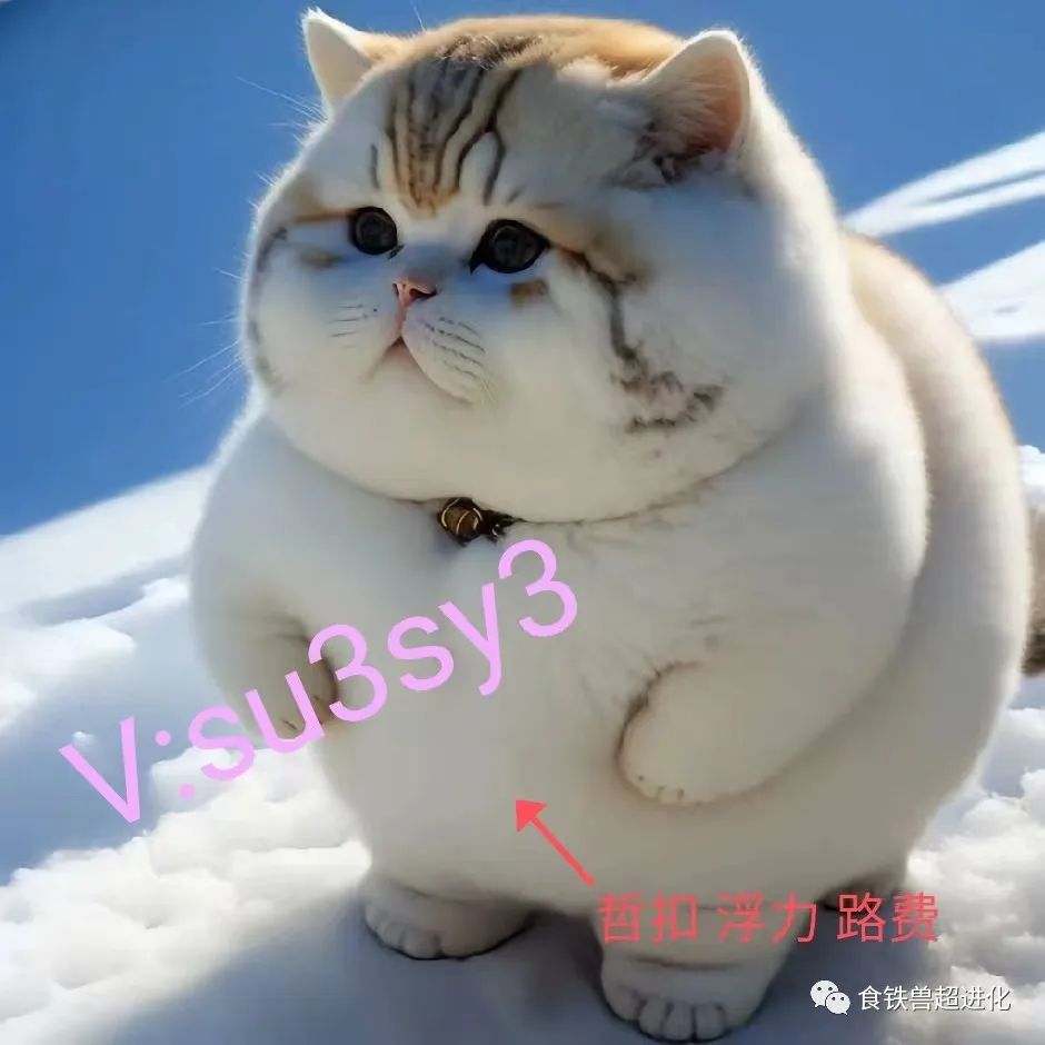 狂暴传奇合击版有什么活动,狂暴传奇合区活动