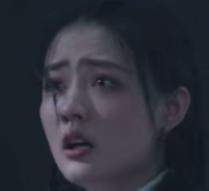 陈赫演小狗,陈赫与刘涛辣眼睛