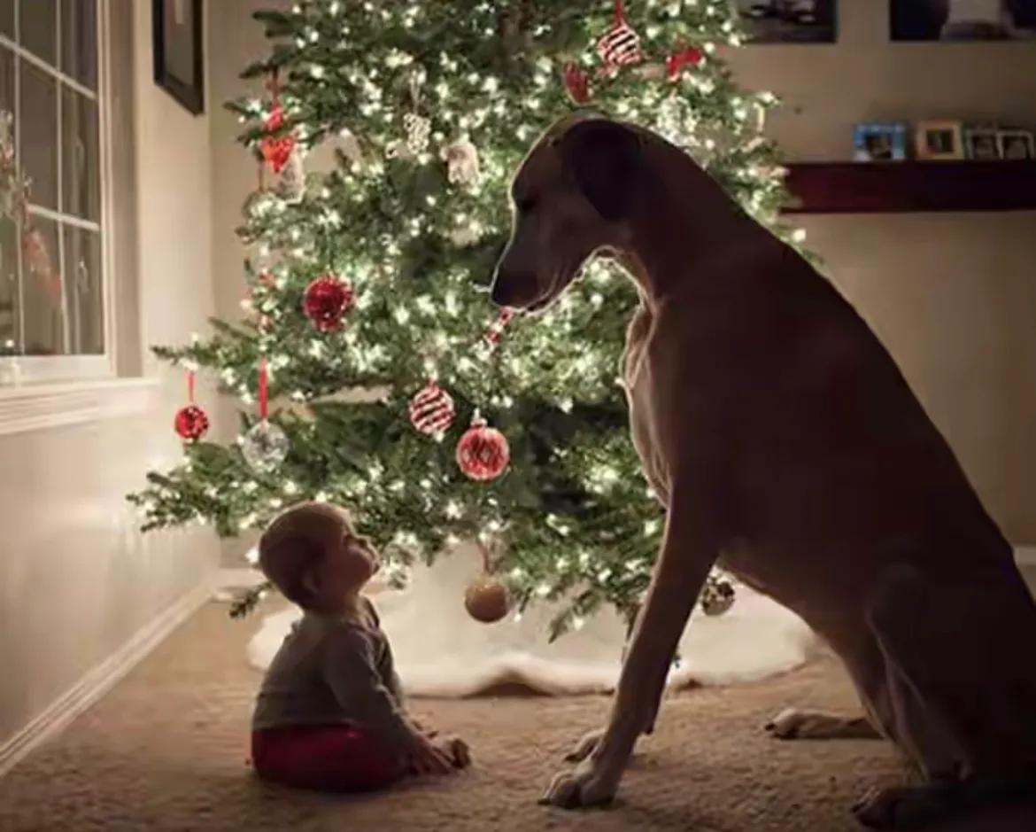 幽默笑话不胜酒力,关于水的幽默笑话段子