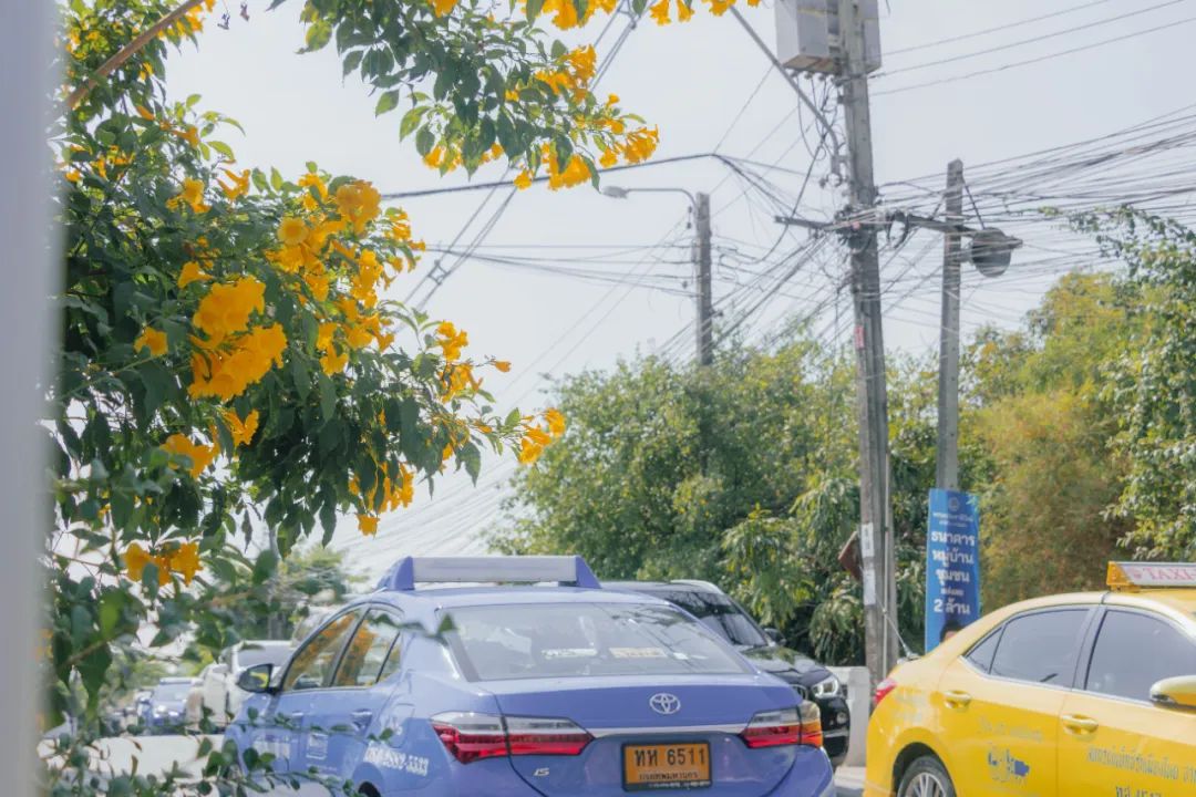 鍘绘嘲鍥芥浖璋峰拰鑺彁闆呯殑鏀荤暐,鍘绘嘲鍥界帺杞浖璋疯姯鎻愰泤