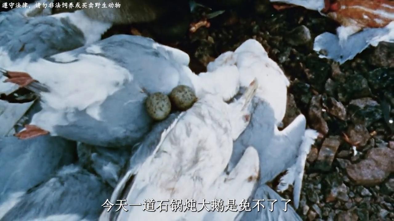 因纽特人老人怎么存活,因纽特人逝世后怎么处理