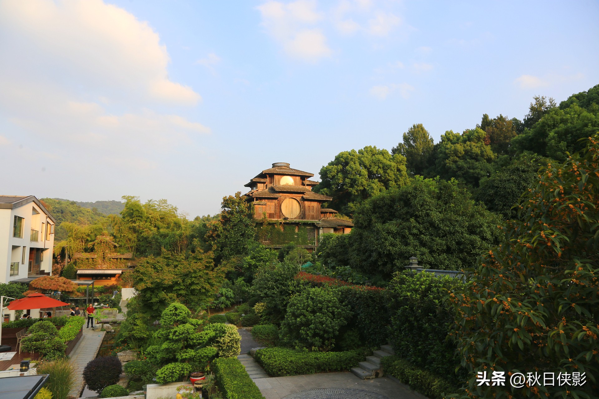 杭州赏桂花最佳处,杭州看桂花的最佳地方