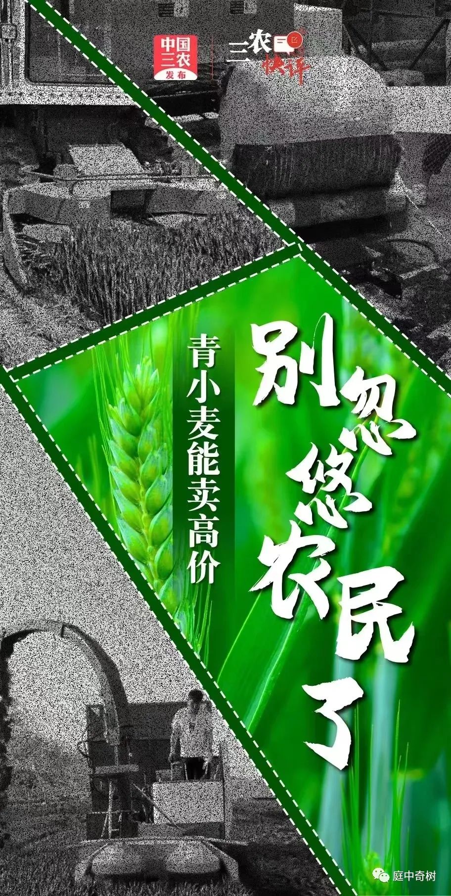 网信办表扬的抖音账号有哪些,中央网信办上榜百个抖音