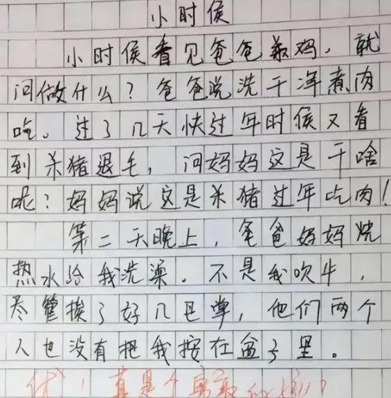 “我不会饿着她们”，小学生作文《怀孕》火了，都怪家长“坑娃”