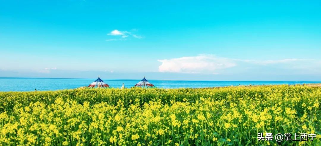 7月20号，神秘区域将举办神秘活动…