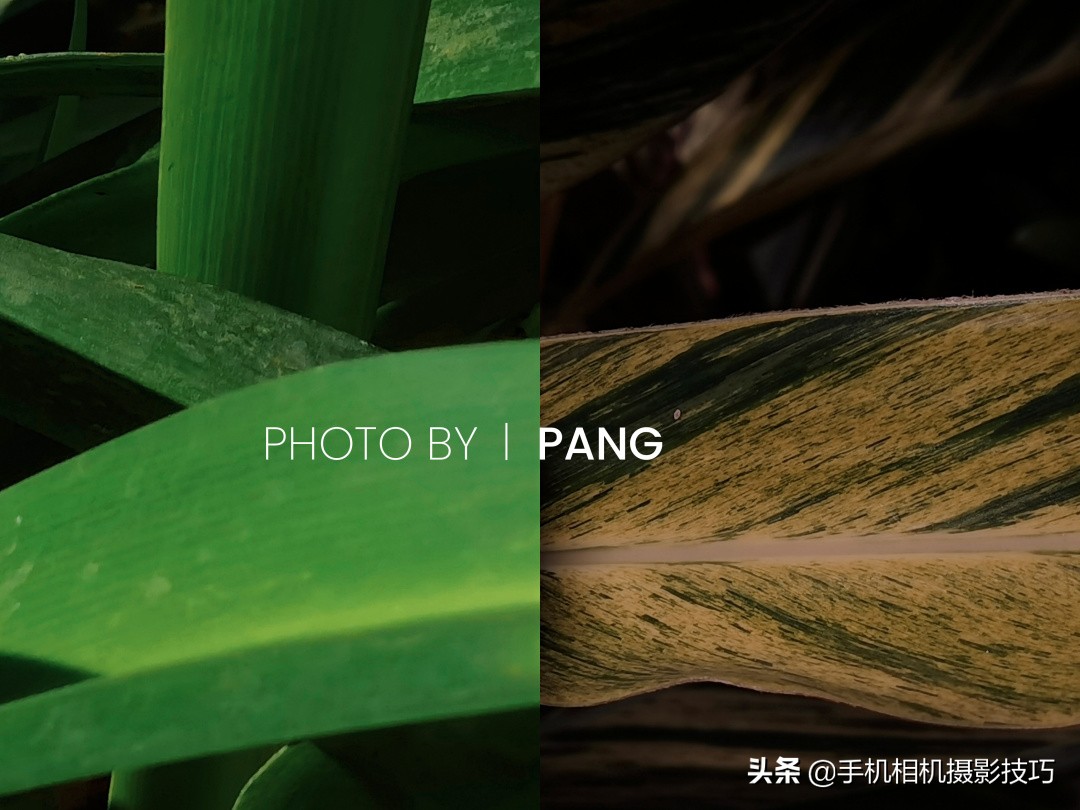 18组照片,18幅普通人拍出来的好照片