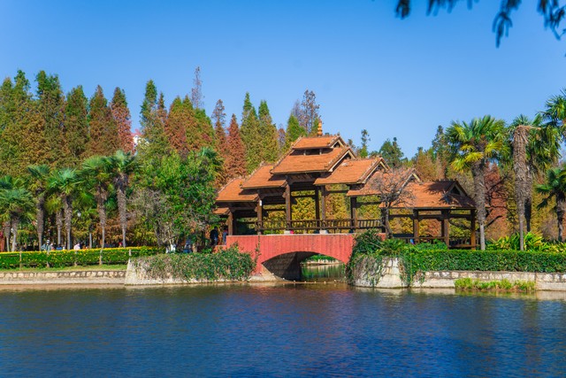 民族特色文化的发展趋势,56个民族里面文化最齐全的有哪些