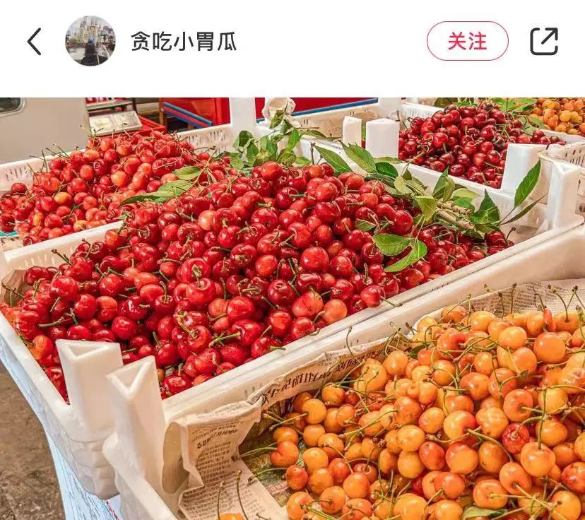 城市里最适合养老的房子,适合养老的小洋房